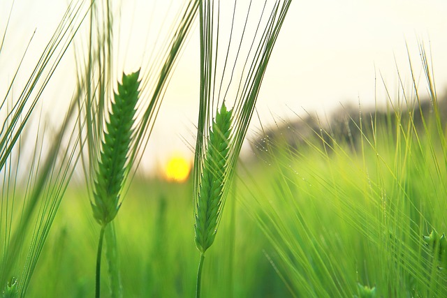 analiza SEO i raporty GA4 na laptopie w nowoczesnym biurze Warszawa