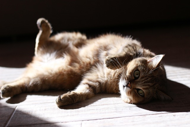 zespół IT i marketing omawia plan SEO na tablicy w biurze